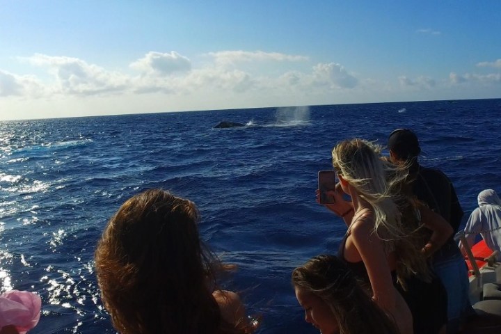 a group of people standing next to a body of water