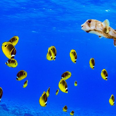 a group of people on a beach
