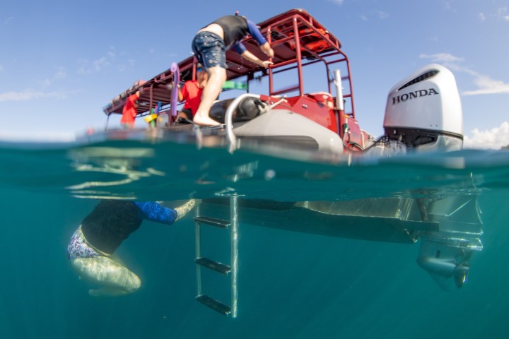 Person climbing boat ladder, half underwater view of red inflatable boat with Honda motor.