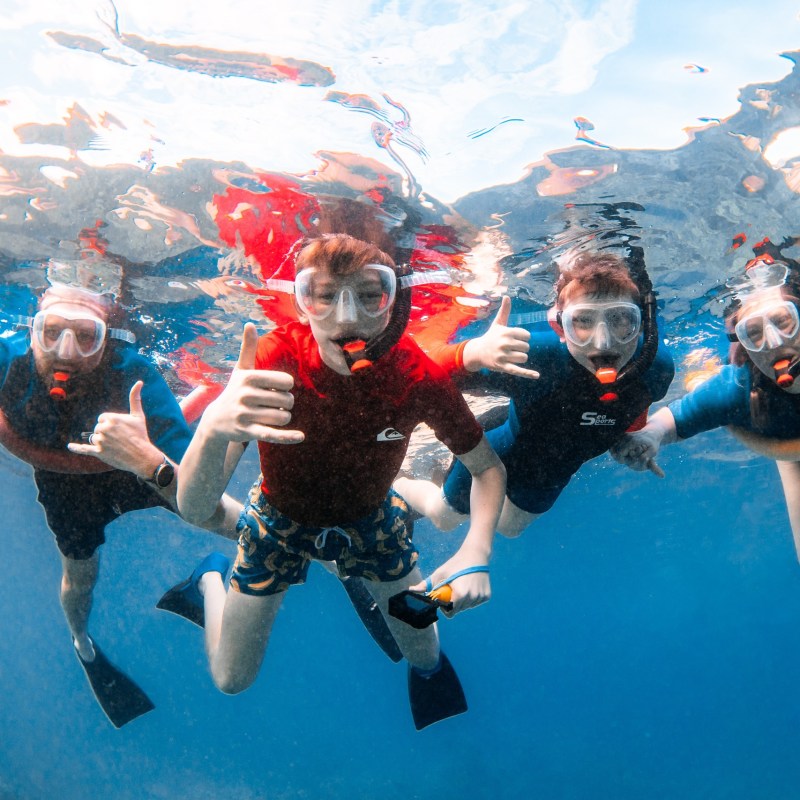 Four people snorkeling underwater, wearing masks and snorkels, making thumbs-up gestures.