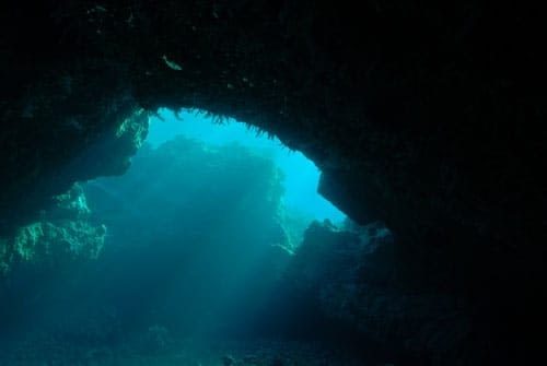 a person swimming in the water