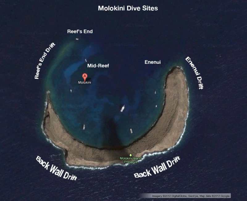 Molokini Dive Sites