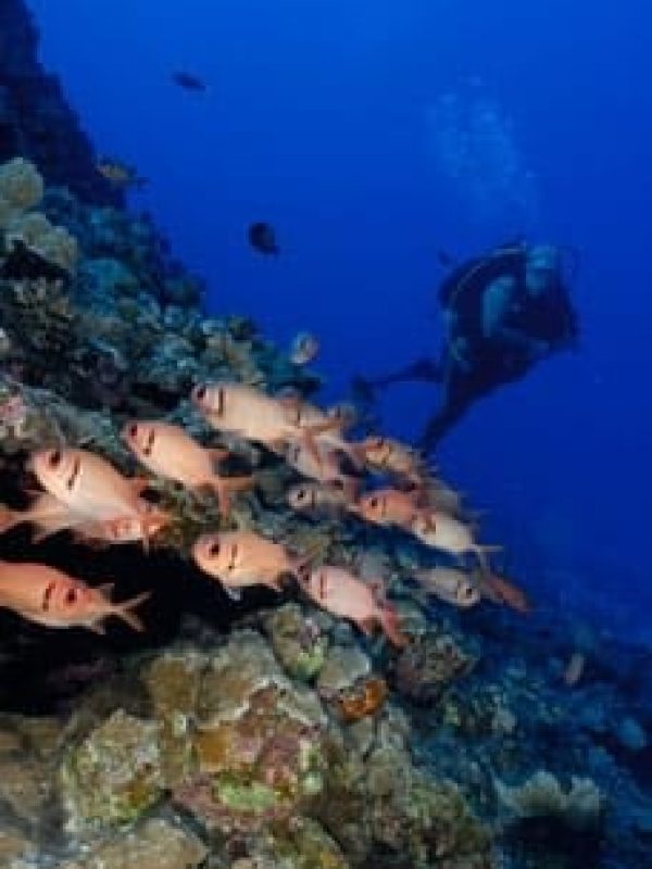 underwater view of a swimming pool