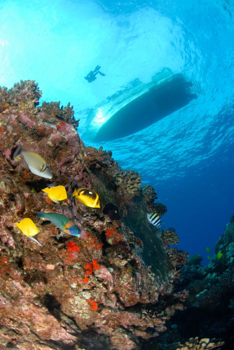 underwater view of a swimming pool