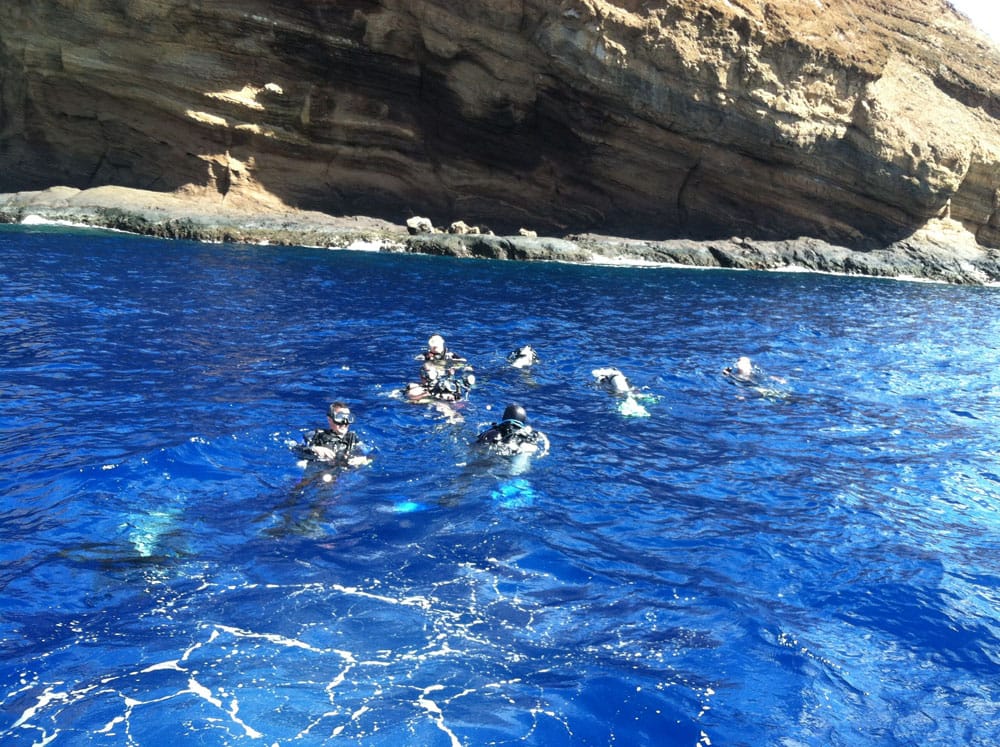 a group of people swimming in a pool of water