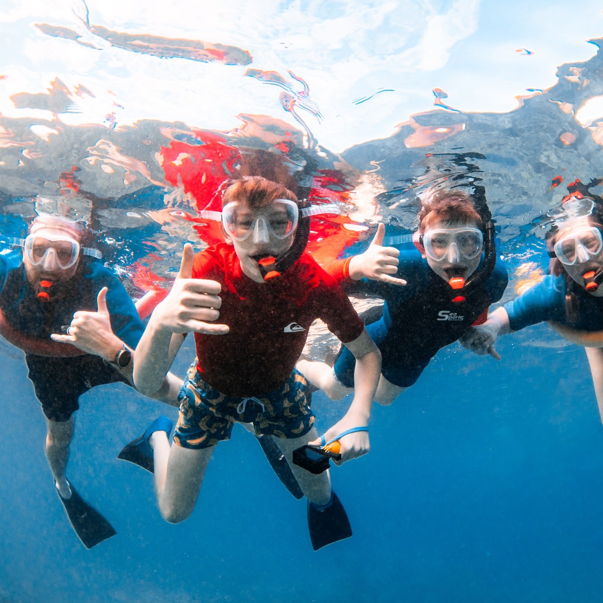 Four people snorkeling underwater, wearing masks and snorkels.