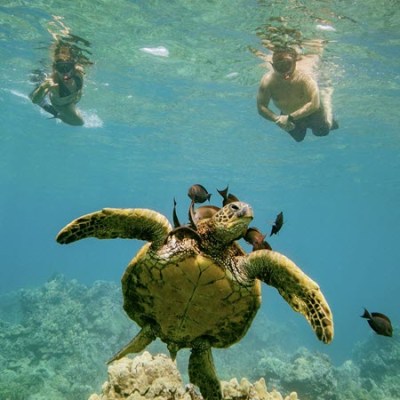 Snorkelling At Molokini Crater