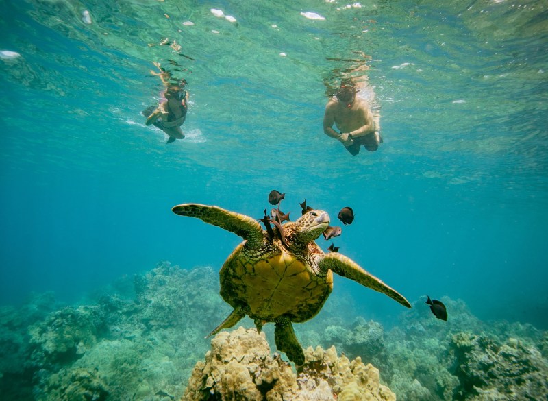 Molokini Crater Snorkel Tours in Maui - Makena Coast Charters