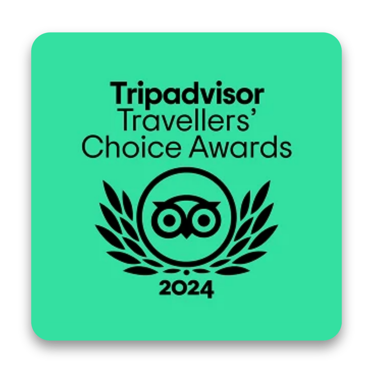 Green badge with TripAdvisor Travellers' Choice Awards 2024 logo.