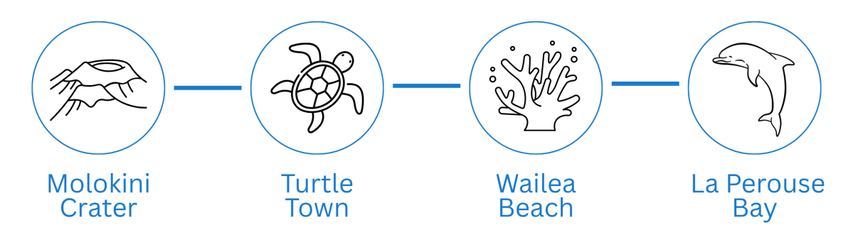 Icons of Molokini Crater, Turtle Town, Wailea Beach, La Perouse Bay with respective sketches.