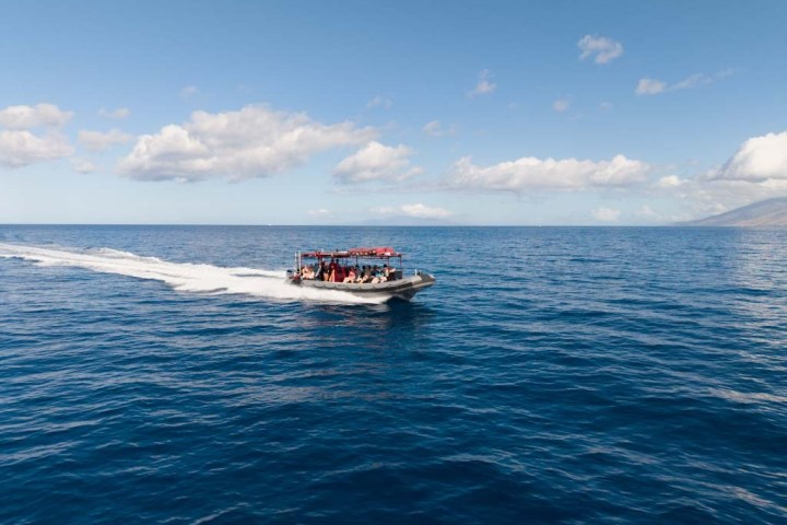 Boat speeding on open ocean under a clear blue sky.