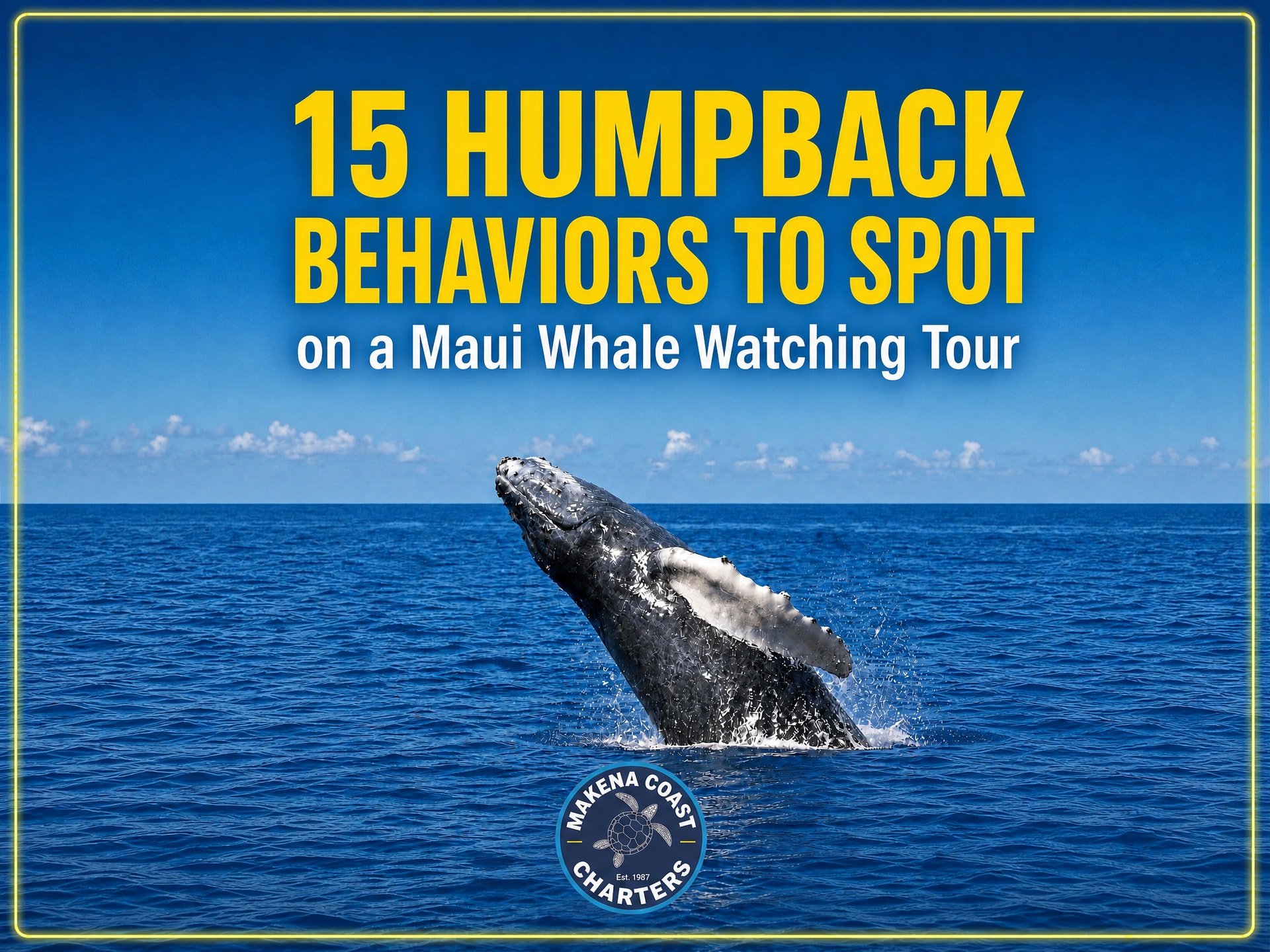 15 Humpback Behaviors to Spot on a Maui Whale Watching Tour