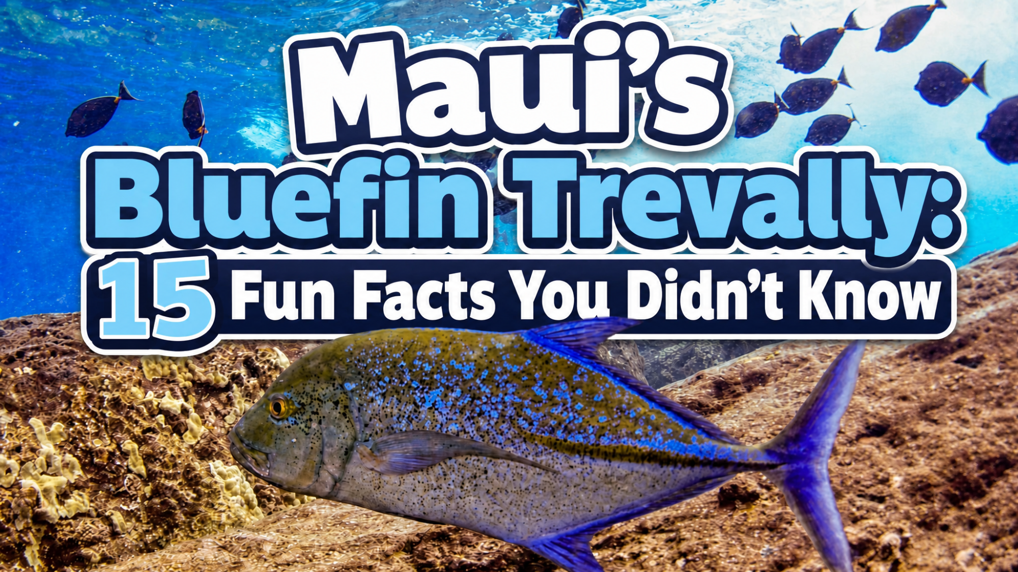 Mauis Bluefin Trevally 15 Fun Facts You Didnt Know