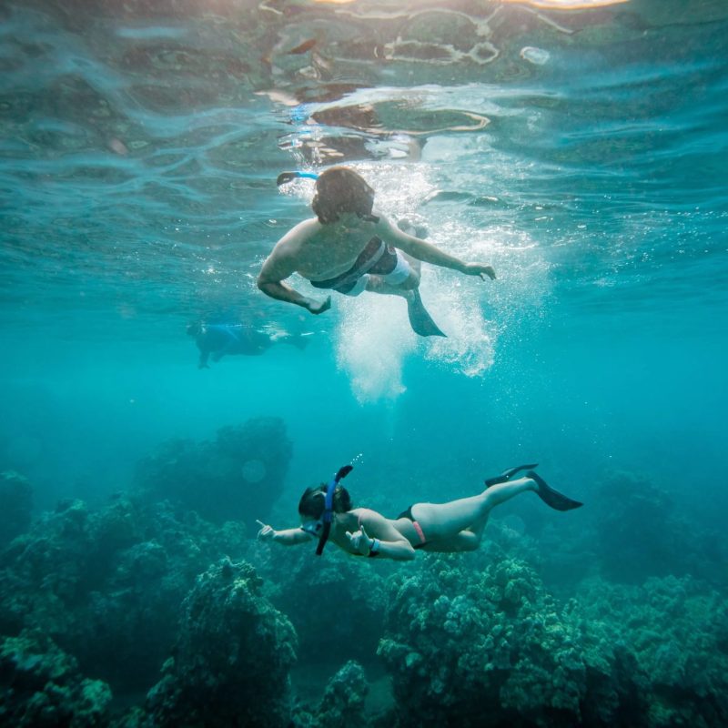 Two snorkelers swimming over a coral reef in clear turquoise Maui water