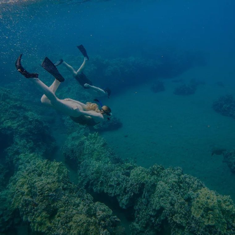 Two snorkelers swimming over the coral reef at Turtle Town, Maui, with a sea turtle in the distance